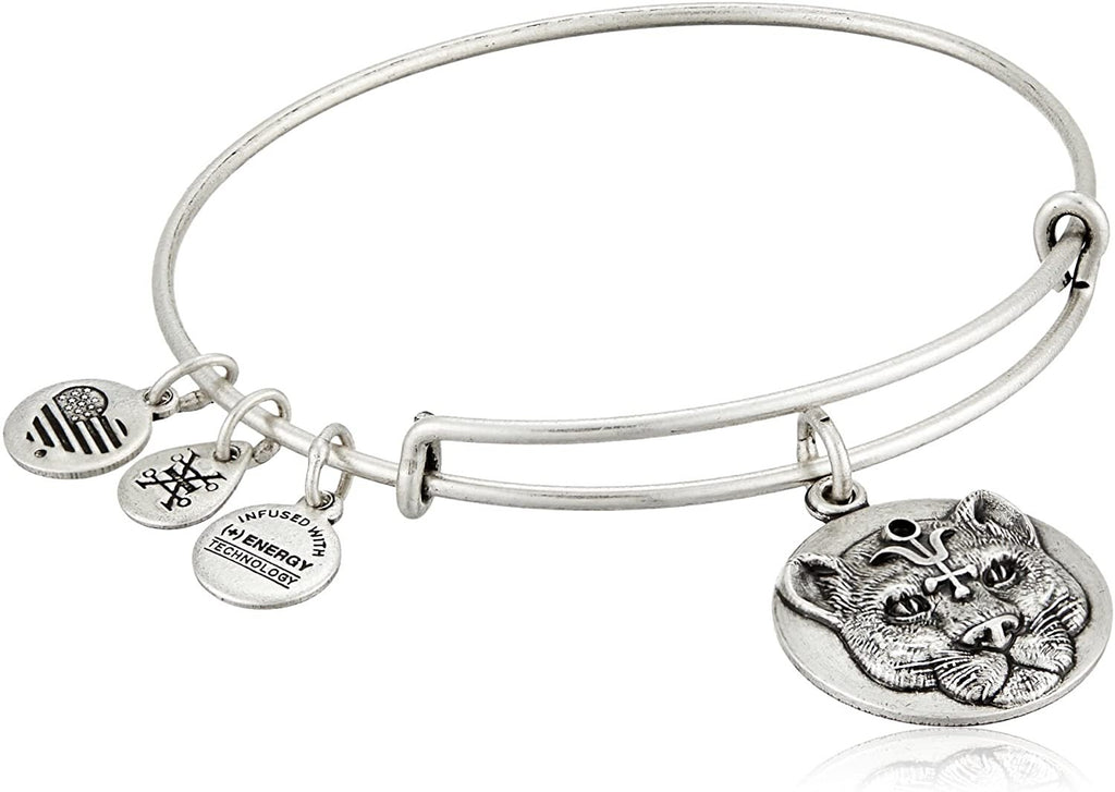 Alex and Ani Wild Heart Expandable Rafaelian Silver-Tone Bangle Bracelet