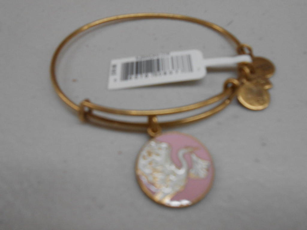 Alex and Ani Charity by Design Special Delivery Bangle Bracelet