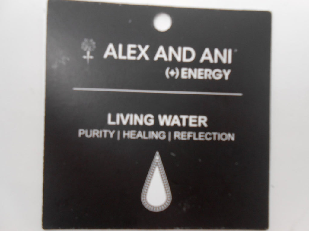 Alex and Ani Charity By Design Living Water International Bangle Bracelet