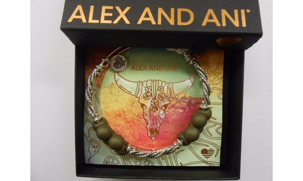 Alex and Ani Spirit Spiral EWB, Bangle Bracelet