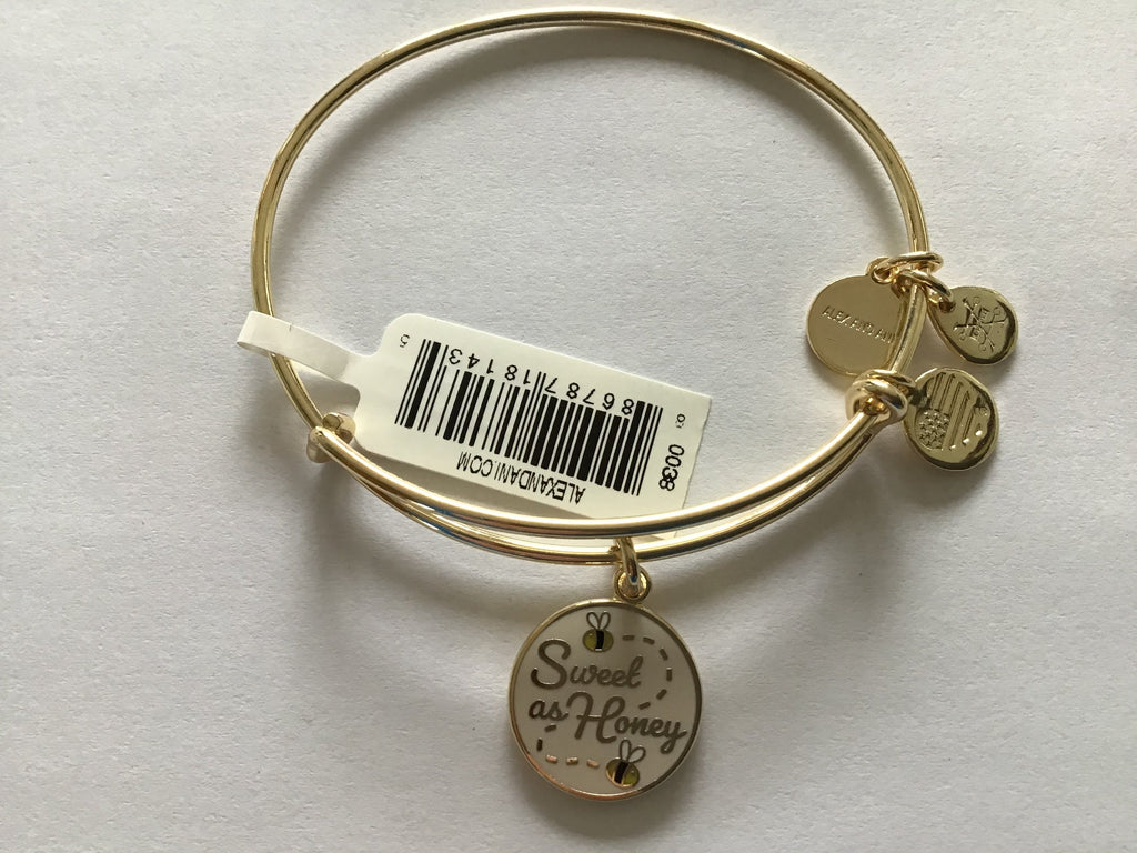 Alex and Ani Color Infusion Bangle Bracelet