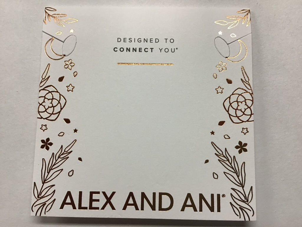 Alex and Ani Color Infusion Soul Sisters Bangle Bracelet