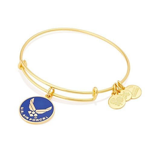 Alex and Ani Armed Forces US Air Force Expandable Wire Bangle Charm Bracelet