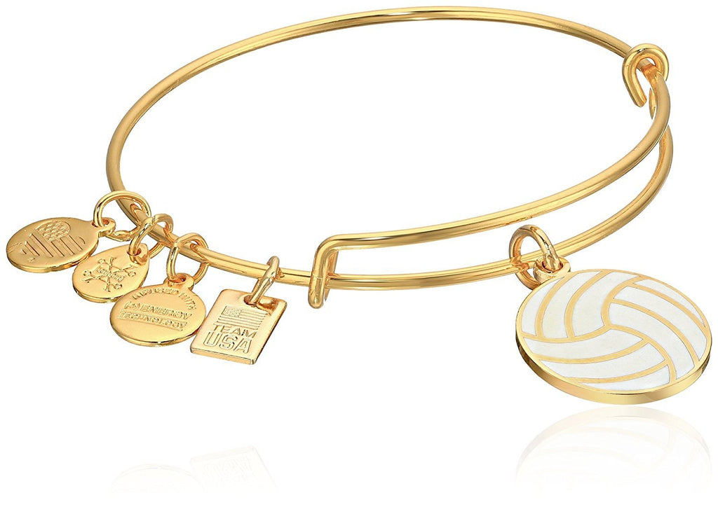 Alex and Ani Team USA Volleyball Expandable Bangle Bracelet