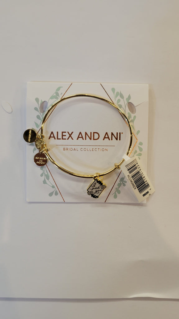 Alex and Ani Color Infusion I Pick You Bangle