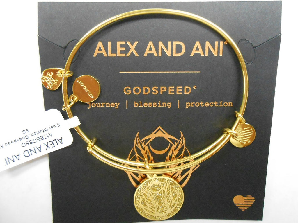 Alex and Ani Womens Color Infusion Godspeed Bangle