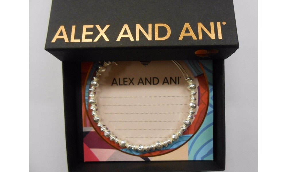 Alex and Ani Canyon Bracelet