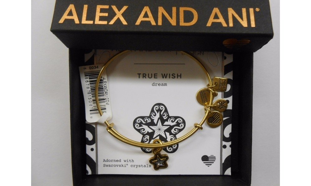 Alex and Ani Charity Design, True Wish EWB Bangle Bracelet