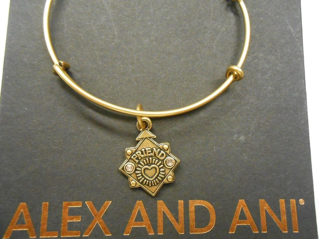 Alex and Ani Womens Because I Love You Friend III Bangle