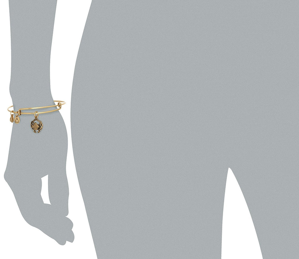 Alex and Ani Womens Crab Charm Bangle