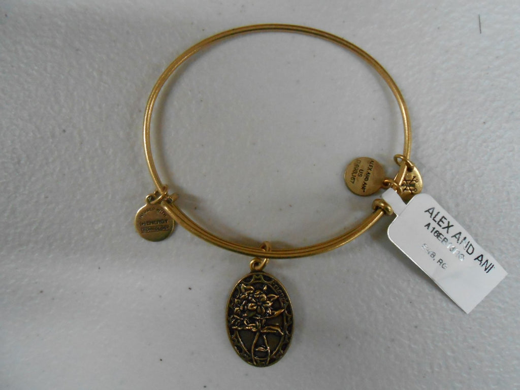 Alex and Ani Because I Love You, Friend II Expandable Bracelet