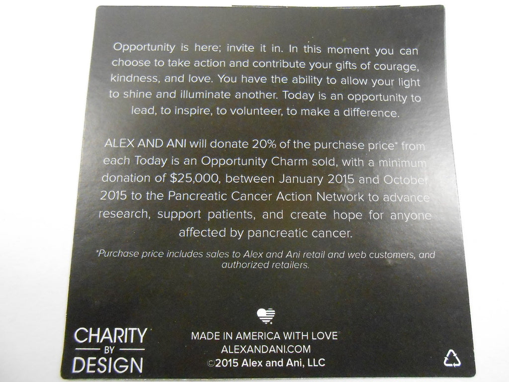 Alex and Ani Charity By Design Today Is An Opportunity Bangle Bracelet