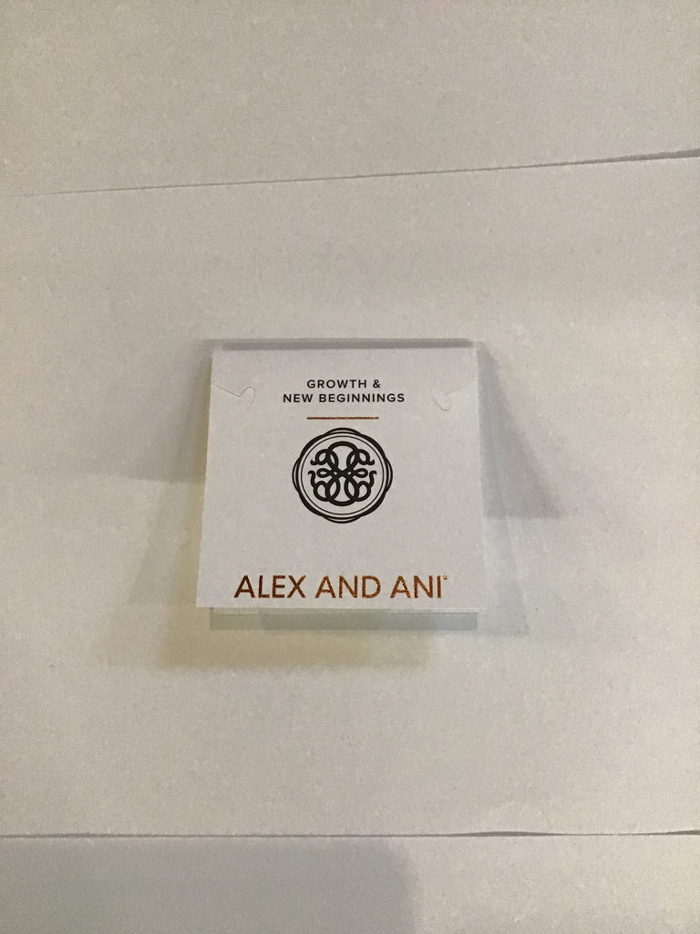 Alex and Ani Path of Life Bracelet