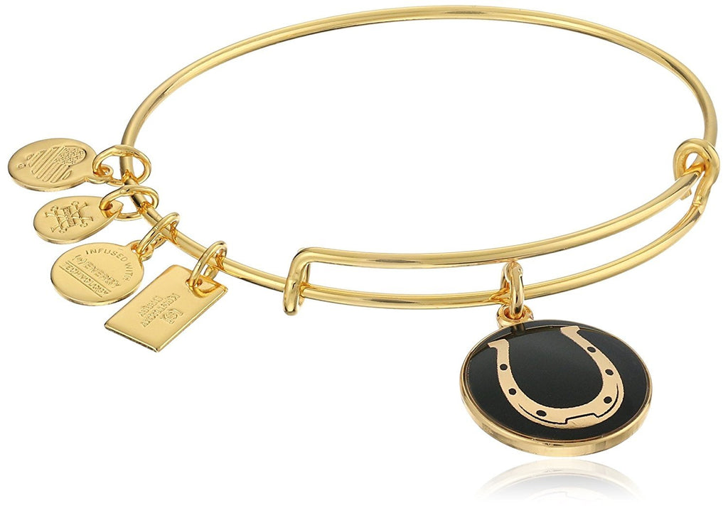 Alex and Ani Black Horseshoe Expandable Rafaelian Gold-Tone Finish Bangle Bracelet