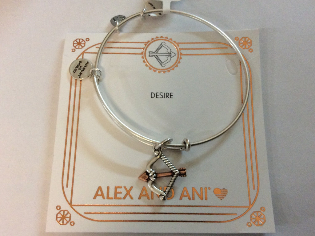 Alex and Ani Women's Cupid's Arrow Two-Tone Bangle Bracelet