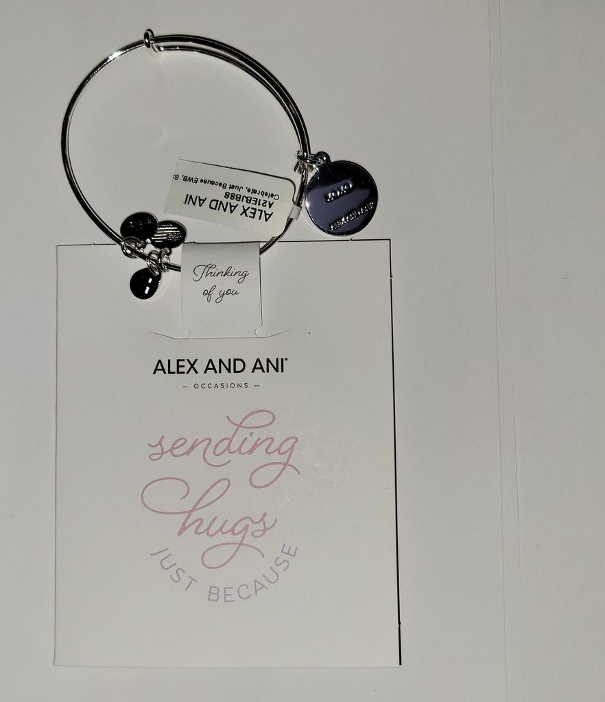 Alex and Ani Celebrate, Just Because EWB, Shiny Silver One Size Bracelet