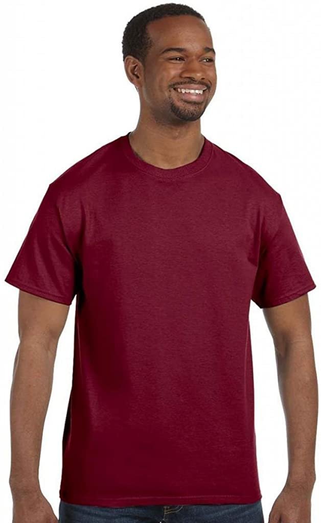 Hanes Mens Tagless T Shirt (Cardinal Red, XX-Large)