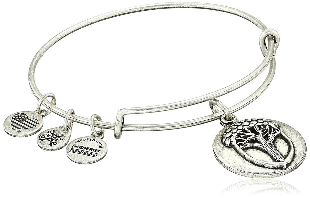 Alex and Ani Unexpected Miracles II Expandable Rafaelian Bangle Bracelet