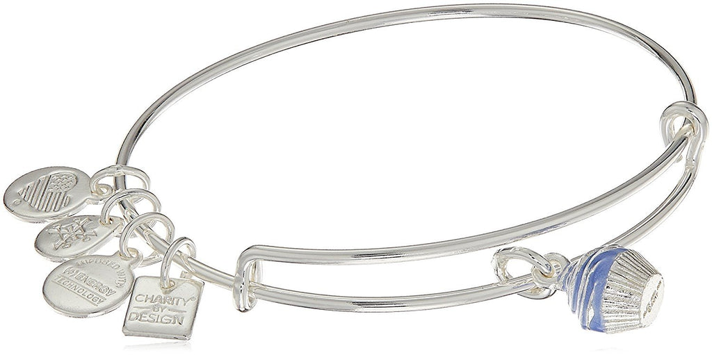 Alex and Ani Charity by Design, Cupcake II EWB Bangle Bracelet