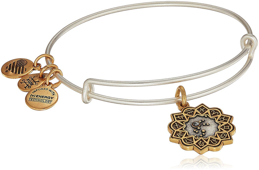 Alex and Ani Aquarius Two Tone Bangle Bracelet NWTBC