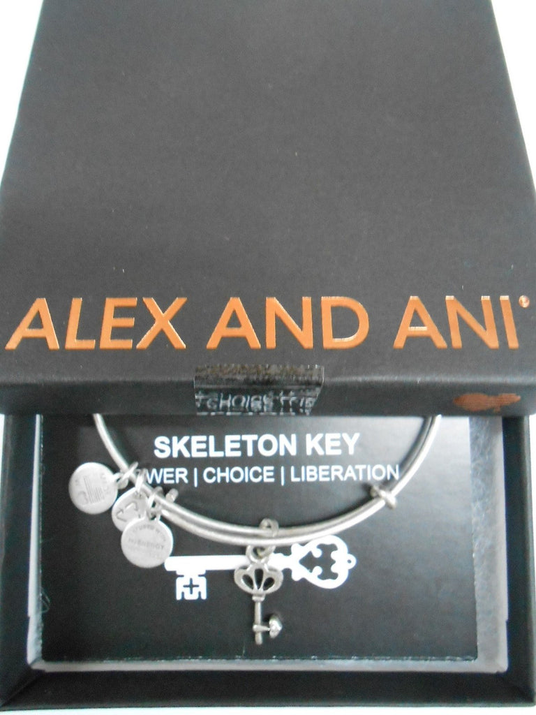 Alex and Ani Women's Skeleton Key Charm Bangle Rafaelian Silver Finish One Size