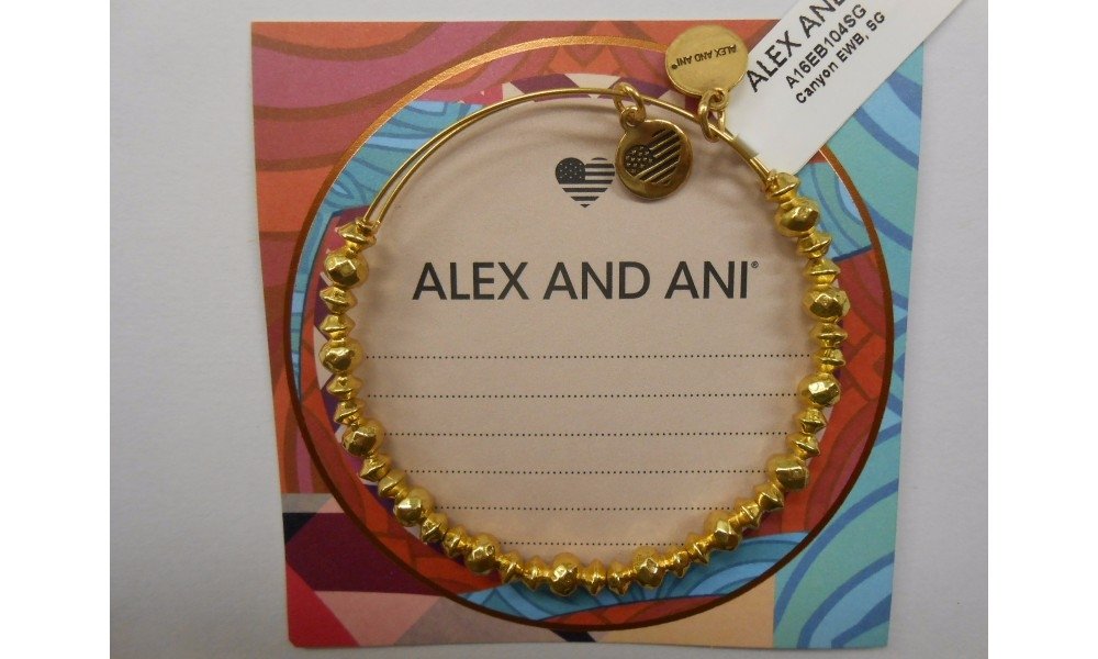 Alex and Ani Canyon Bracelet