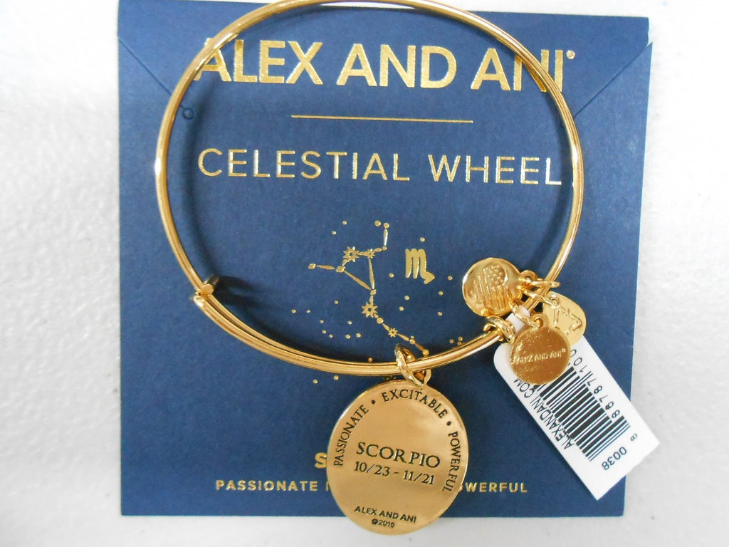 Alex and Ani Constellation Bangle Bracelet