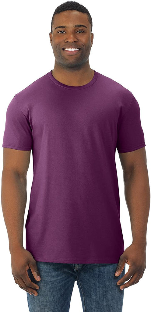 Fruit of the Loom Mens Cotton Jersey Crew T-Shirt (SF45R) Wild Plum 2XL