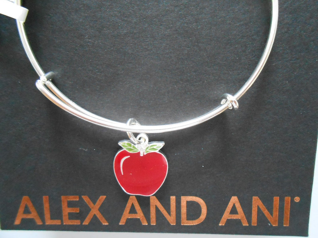 Alex and Ani Charity by Design, Apple EWB, Bangle Bracelet