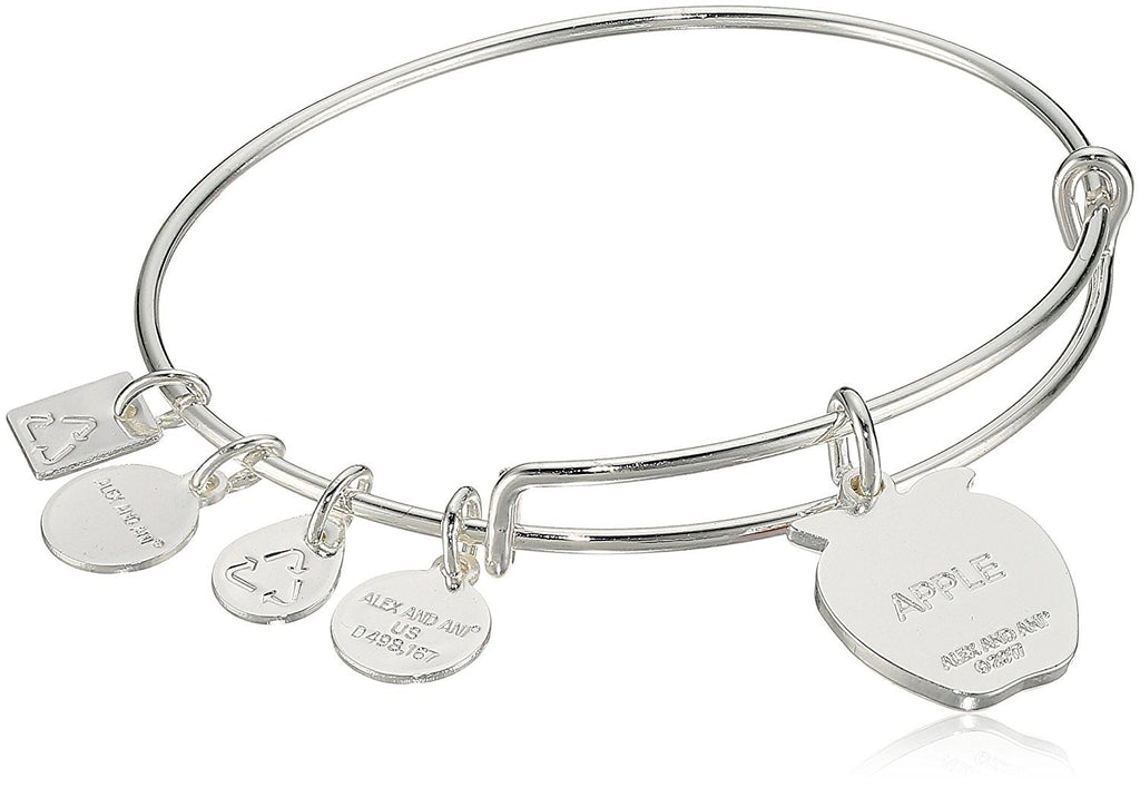 Alex and Ani Charity by Design, Apple EWB, Bangle Bracelet