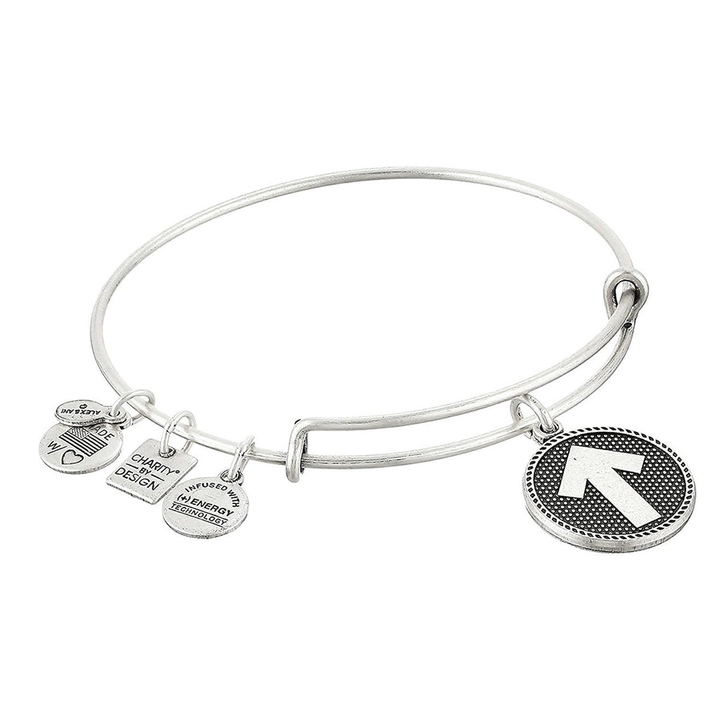 Alex and Ani Women's Charity By Design - Bracelet Rafaelian Silver Finish Bracelet