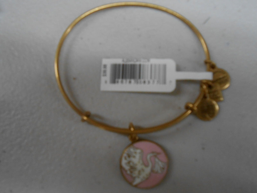 Alex and Ani Charity by Design Special Delivery Bangle Bracelet