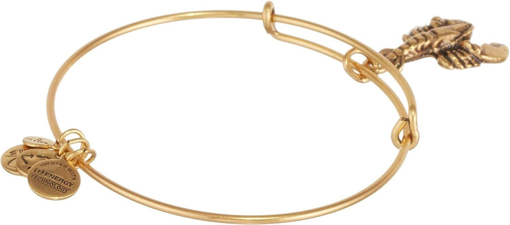 Alex and Ani Womens Lobster Charm Bangle