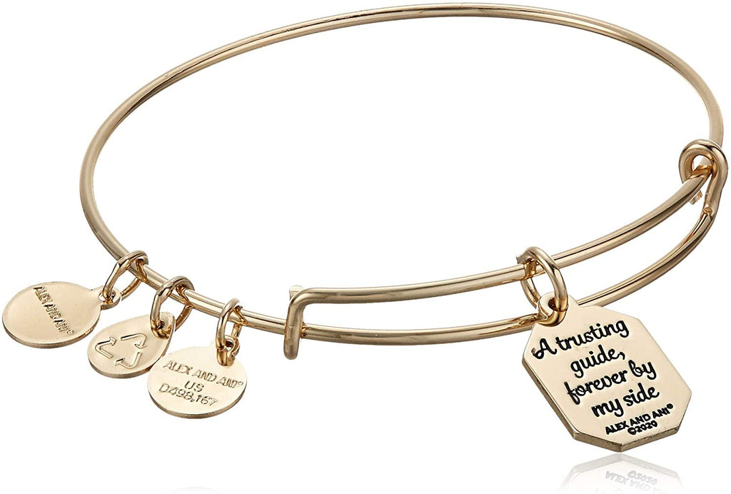 Alex and Ani Because I Love You Aunt IV EWB, SAG, Shiny Antique Gold, Expandable (A20BILY07SAG)