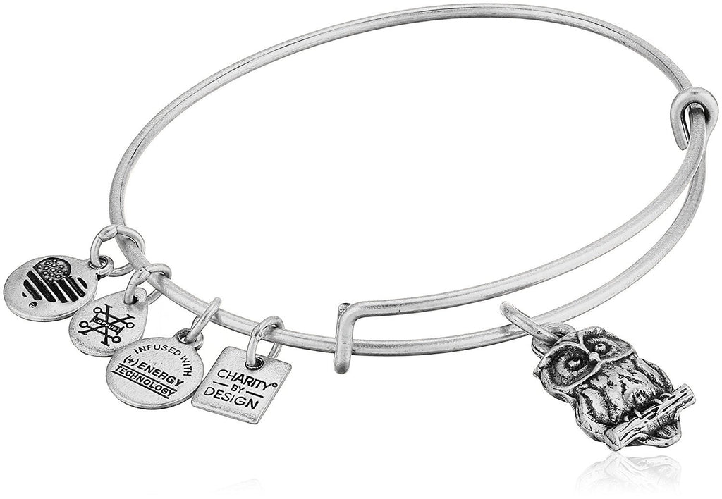 Alex and Ani Women's Charity By Design, Owl Charm Bangle Bracelet, Rafaelian Silver, Expandable