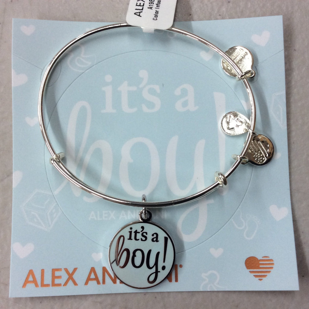 Alex and Ani Women's Color Infusion It's A Boy Bangle Bracelet