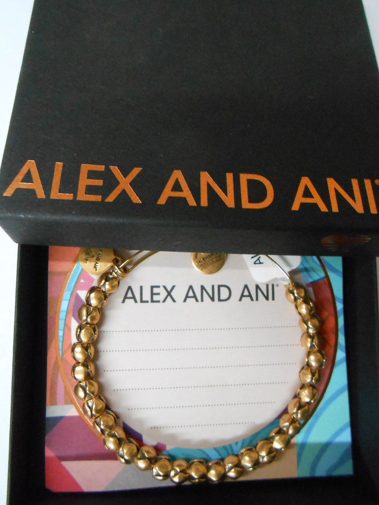 Alex and Ani Traveler Bracelet