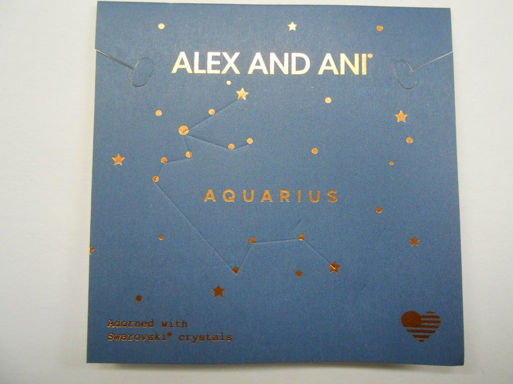 Alex and Ani Aquarius Two Tone Bangle Bracelet NWTBC