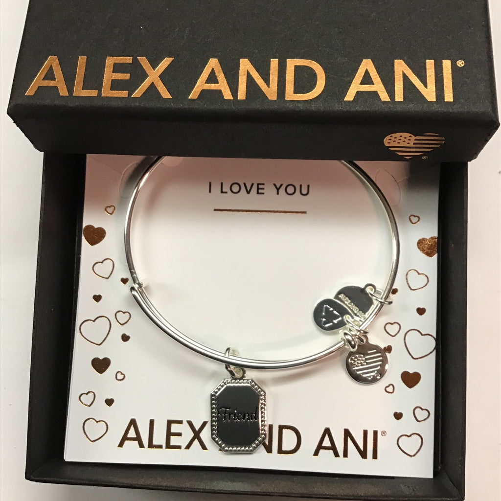 Alex and Ani Because I Love You Friend IV EWB, SAS, Shiny Antique Silver, Expandable (A20BILY08SAS)