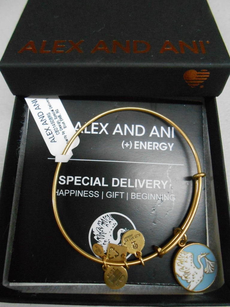 Alex and Ani Charity by Design Special Delivery Bangle Bracelet