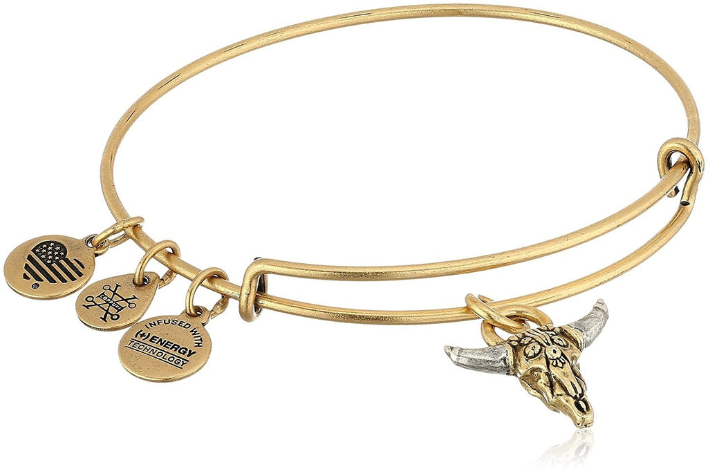 Alex and ANI Spirited Skull Bangle Bracelet, Expandable