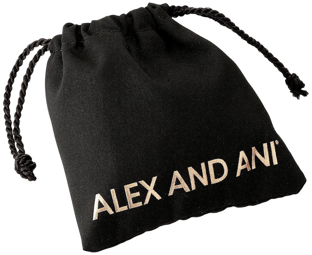 Alex and Ani Words are Powerful Bangle Bracelet