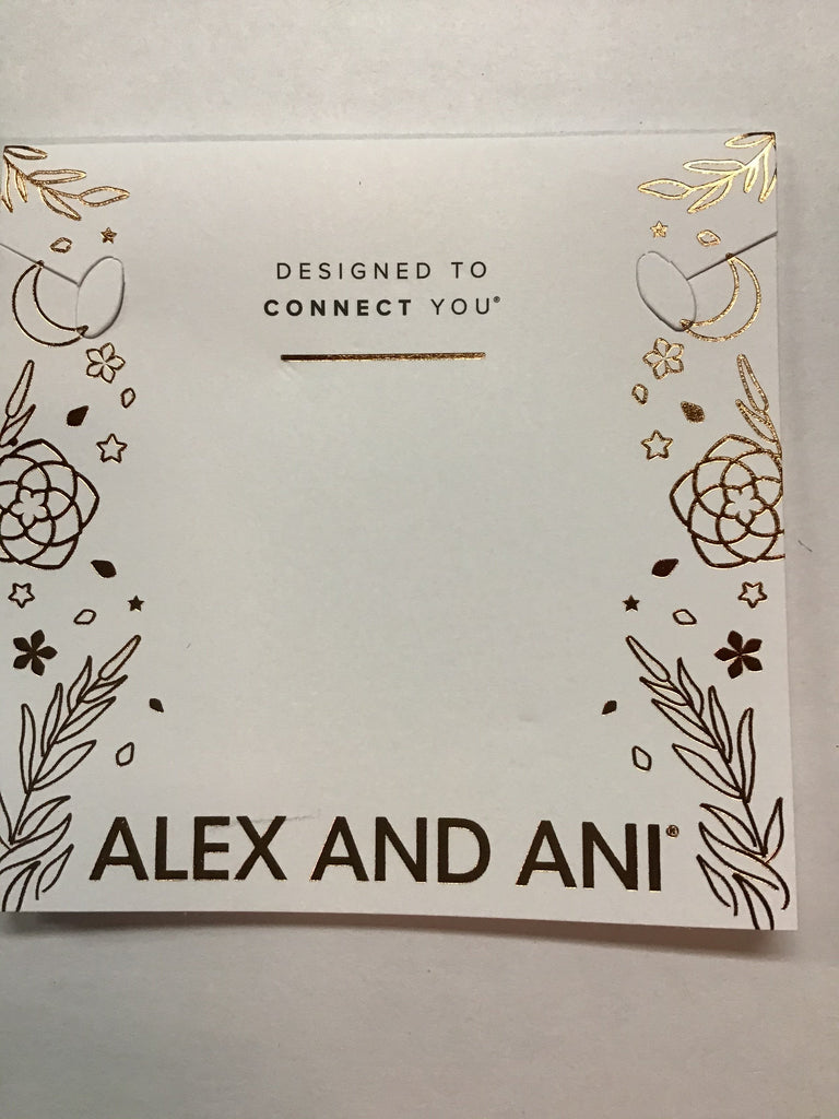 Alex and Ani Color Infusion Soul Sisters Bangle Bracelet