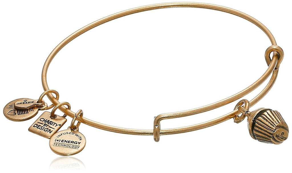 Alex and Ani Charity by Design Cupcake Bangle Bracelet