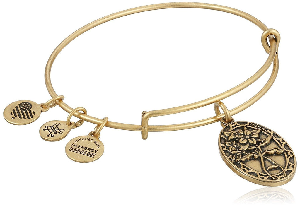 Alex and Ani Because I Love You, Friend II Expandable Bracelet