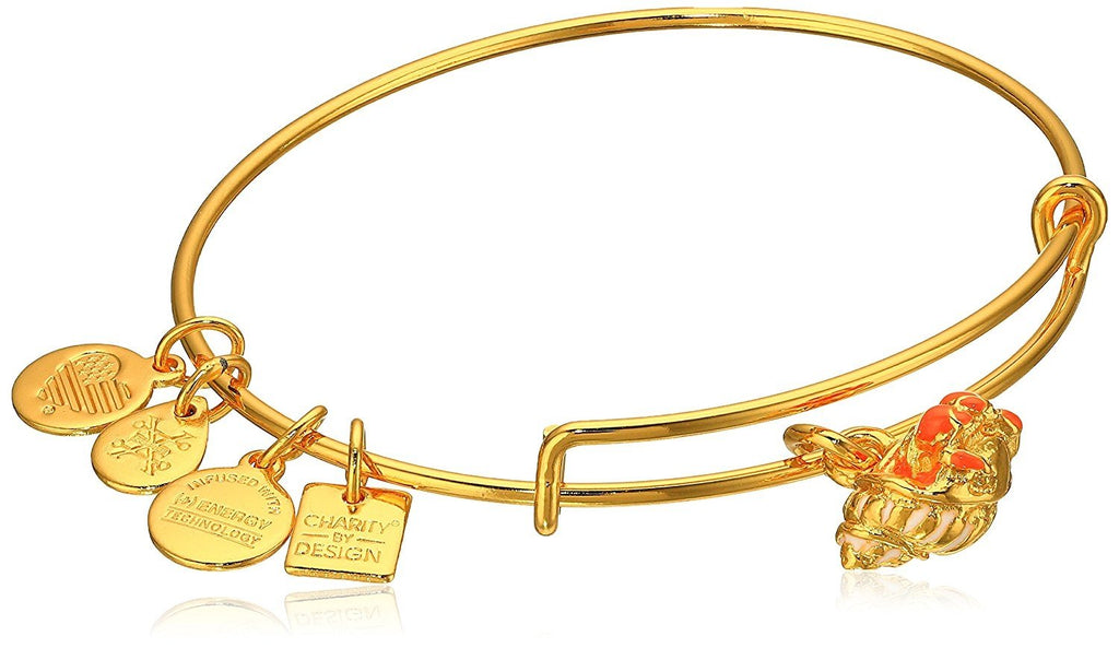 Alex and Ani Charity By Design Hermit Crab Expandable Gold-Tone Bangle Bracelet