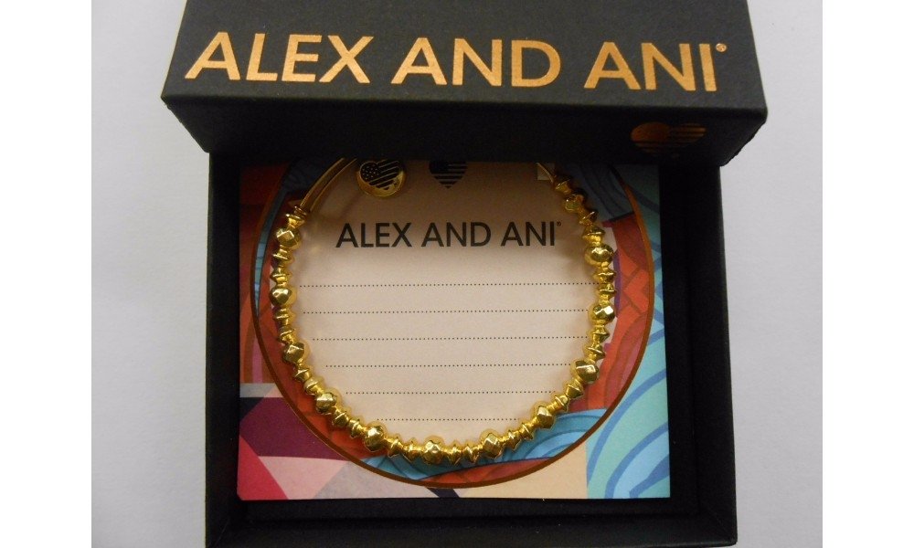 Alex and Ani Canyon Bracelet