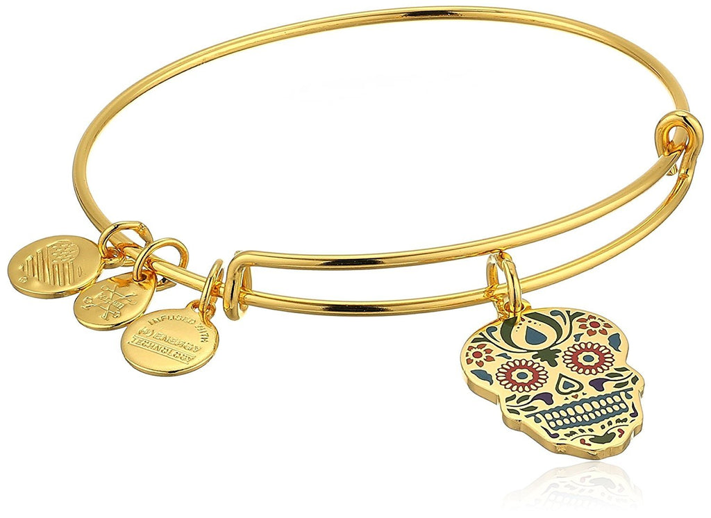 Alex and Ani Color Infusion, Calavera EWB Bangle Bracelet