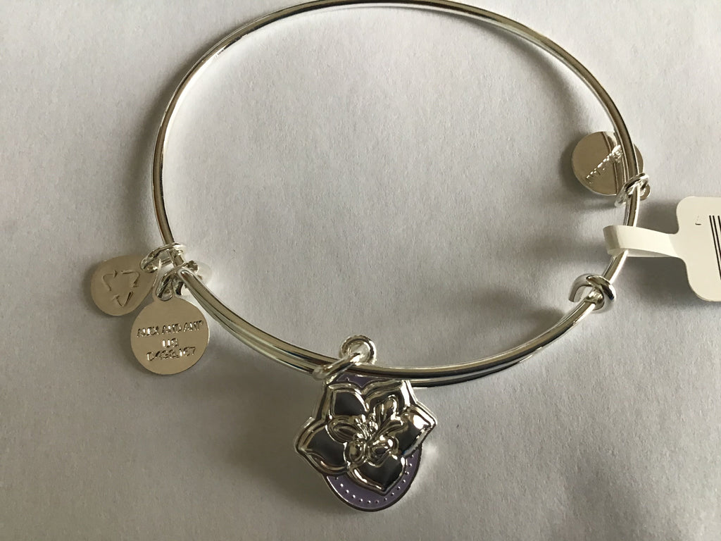 Alex and Ani Color Infusion Bangle Bracelet