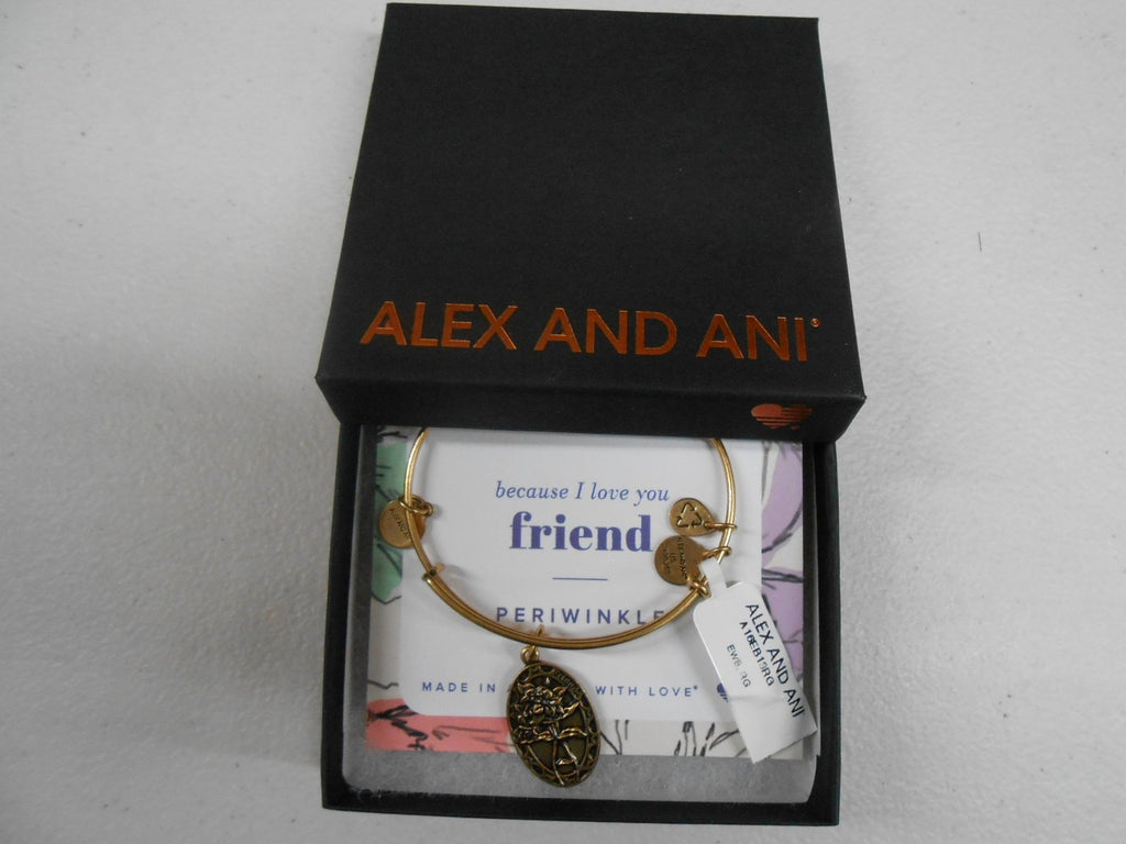 Alex and Ani Because I Love You, Friend II Expandable Bracelet